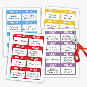 May include: A set of colorful name tags with various names written on them. The names include "Love Machine", "Miss Hawaiian Tropic", "Officer Goodbody", "Cutie McPretty", "Fat Ugly Naked Guy", "Geeky Older Brother", "Neat Guy", "Ken Adams", "Baby Kangaroo Tribbiani", "Mental Geller", "Princess Consuela Banana Hammock", "Miss Chanandler Bong", "Little Harmonica", "Regina Phalange", "Princess Bubblegum", "Joey", "Monica Geller", "Phoebe Buffay", "Rachel Green", "S/R Limps-A-Lot", "Roland Chang", "Lovey Loverson", "Mr. Right Place at the Right Time".