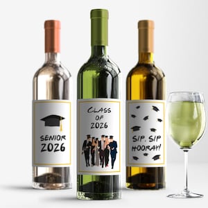 Friends Graduation Wine Labels, funny, wine bottle labels, friends theme grad party table decor, NOT EDITABLE, printable, Instant Download