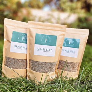 Zoysia grass seed for sale deals