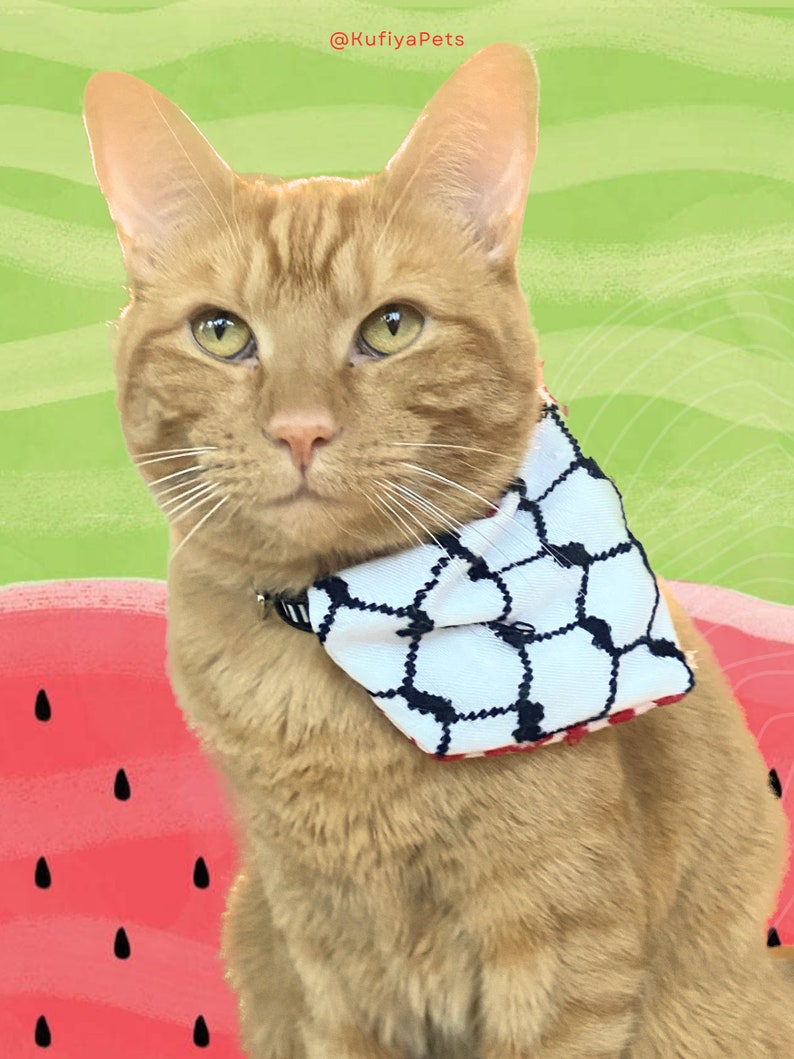 Kufiya Keffiyeh Pet Bandana Collar Palestina Jordanië Sjaal afbeelding 3