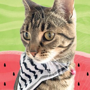 Kufiya Keffiyeh Pet Bandana Collar Palestina Jordanië Sjaal afbeelding 4