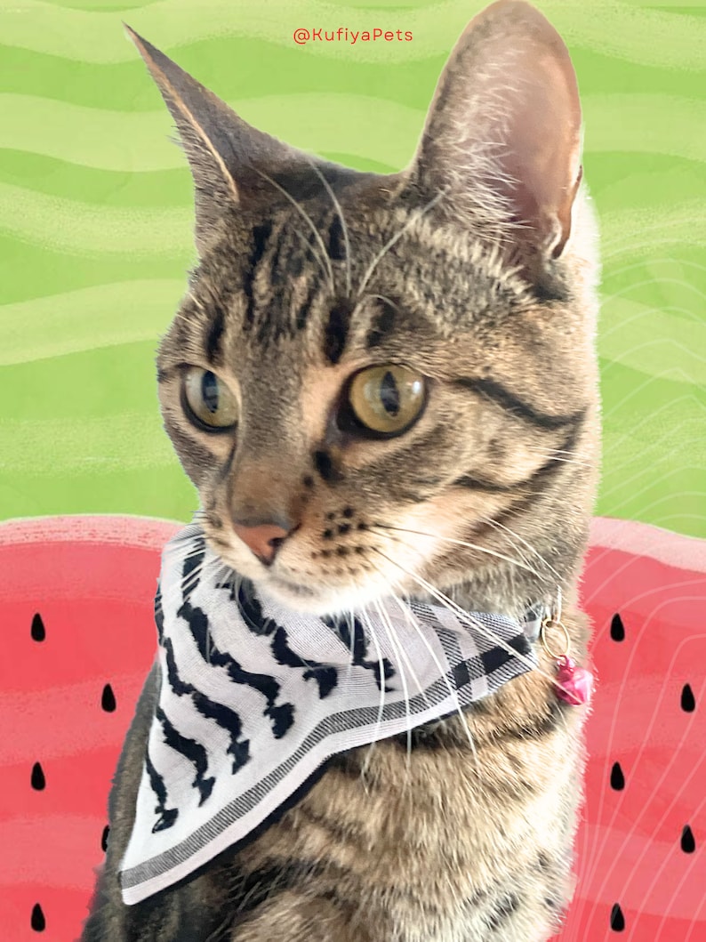 Kufiya Keffiyeh Pet Bandana Collar Palestine Jordan Scarf image 4