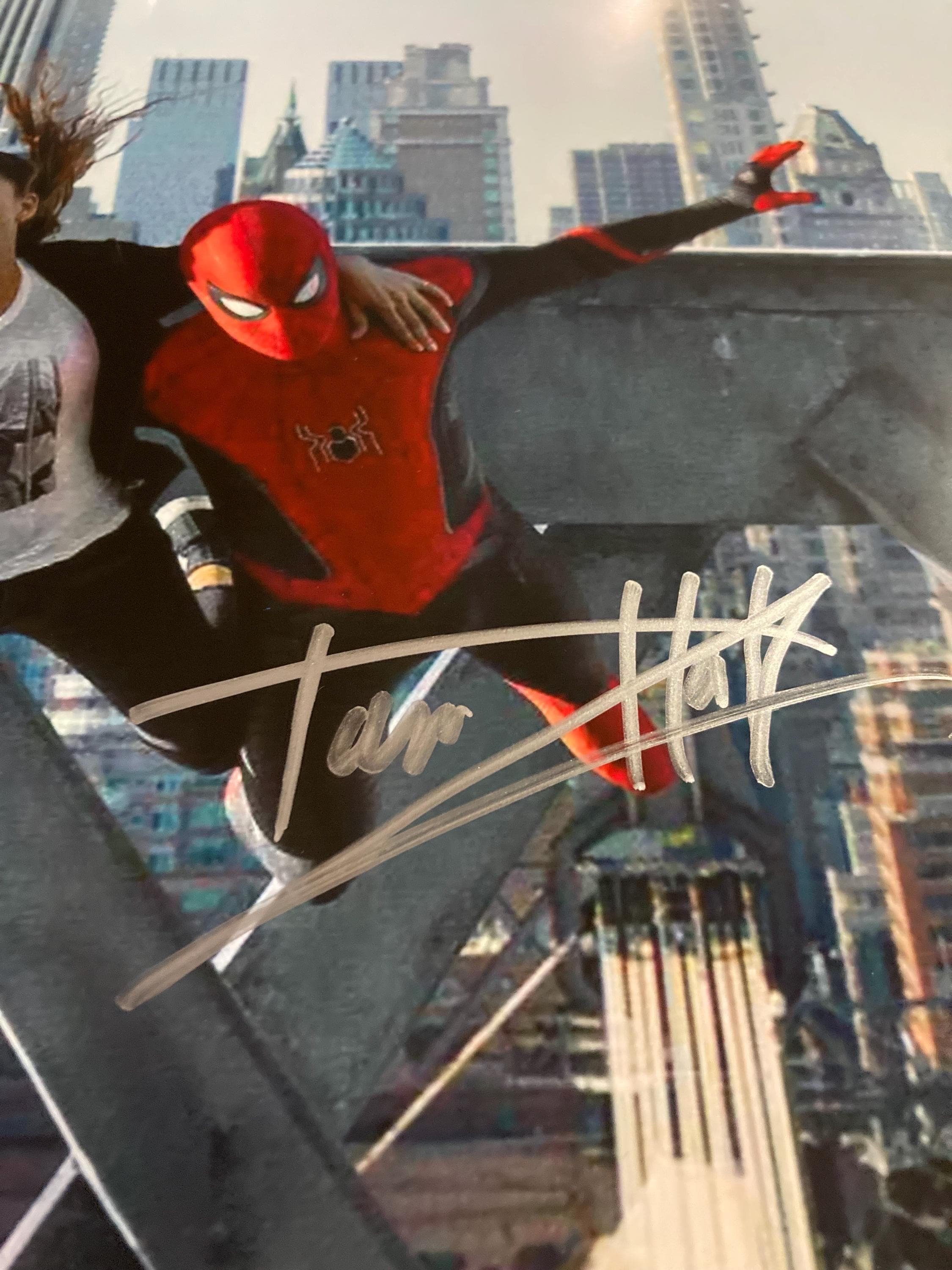 トム・ホランドとゼンデイヤのサイン入りスパイダーマン 8x10 写真 COA