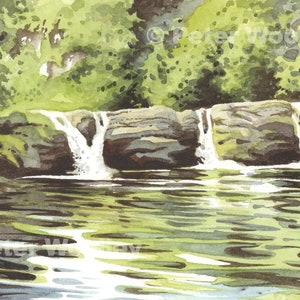 Könnte beinhalten: Aquarellgemälde eines kleinen Wasserfalls, der über Felsen in einen stillen Wasserpool stürzt. Üppiges grünes Laub umgibt den Wasserfall.