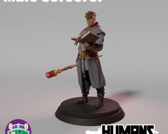 May include: A figurine of a male sorcerer holding a book and a staff. The sorcerer wears a gray robe with gold accents and stands on a black circular base. The text "Male Sorcerer" is at the top, and the word "HUMANS" is at the bottom.