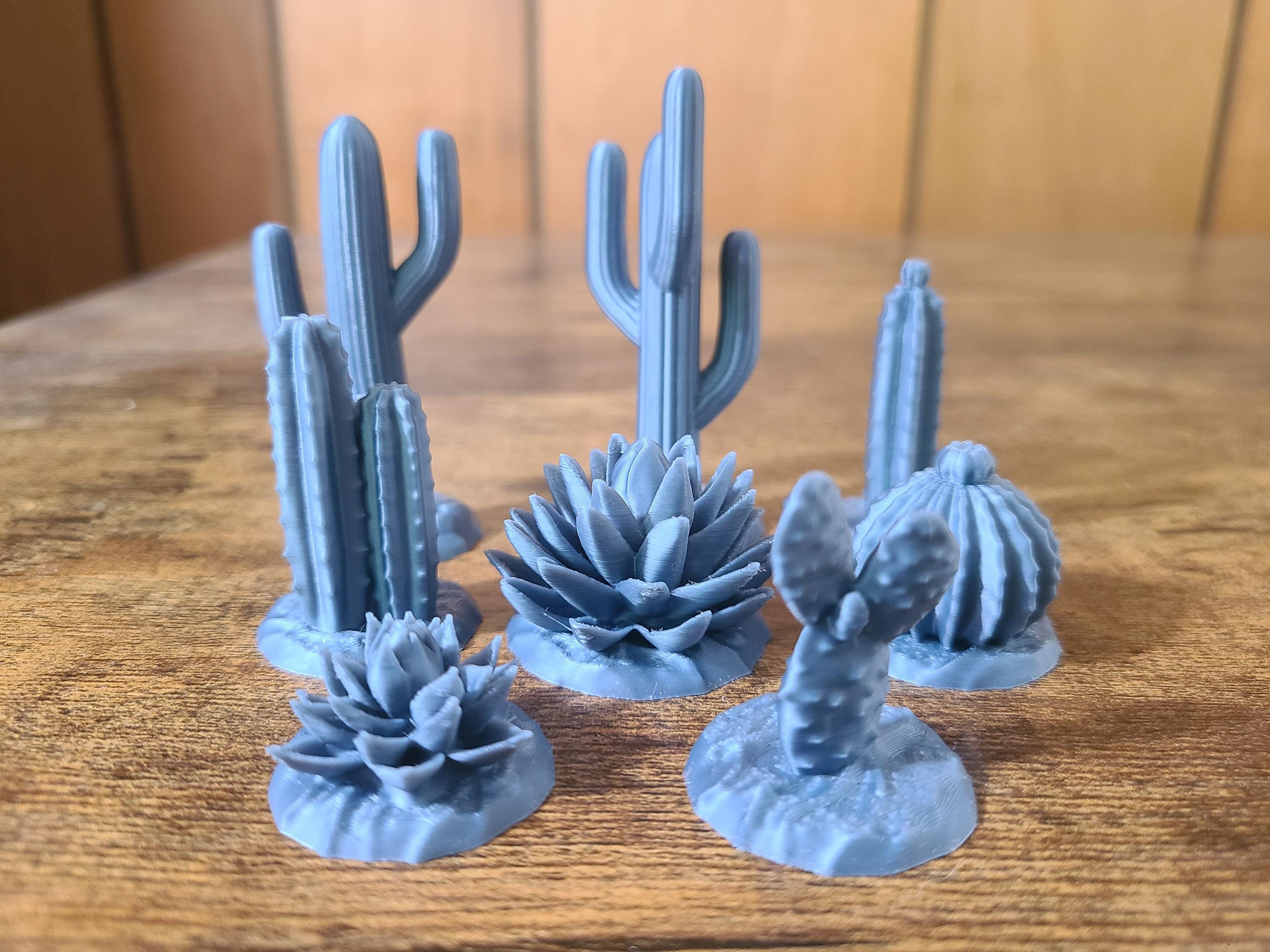 The Cactus Depot - Etsy