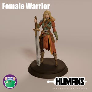 May include: A detailed figurine of a female warrior with blonde hair, wearing a costume in shades of brown, orange, and green. She holds a large silver sword. The base is dark brown, and the text "Female Warrior" is above the figure.