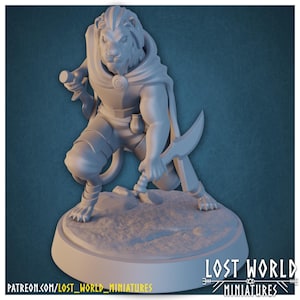 Leonin Rogue Tabaxi | 3D Printed Resin Miniature | D&D | Lost World Miniatures