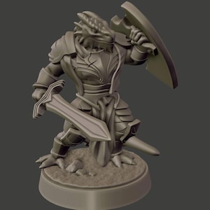 Dragonborn Paladin / Fighter 3D Printed Miniature. Resin Mini, D&D, Dungeons and Dragons, Pathfinders, Lost World Miniatures