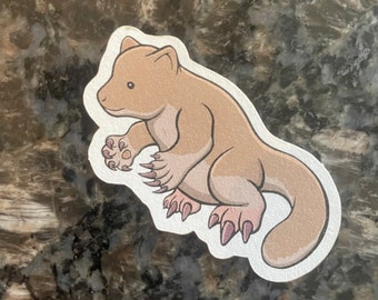 Tree Kangaroo Sticker