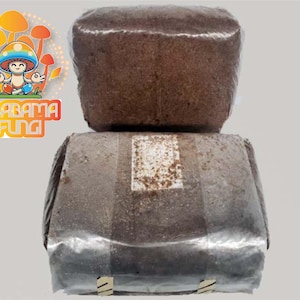 10 lb Bag of Master&#39;s Mix Mushroom Substrate
