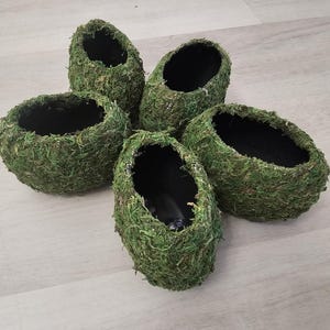 Ellipsoid Eden-3D Printed Reptile Hide