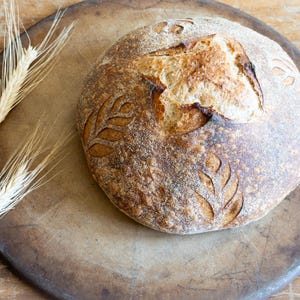A round artisan sourdough loaf with decorative leaf scoring, resting on a well-used baking stone. The golden crust has a crisp texture, and wheat stalks are placed beside it on a rustic wooden surface.