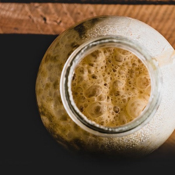 Sourdough Starter (Levain) 150+ yrs old