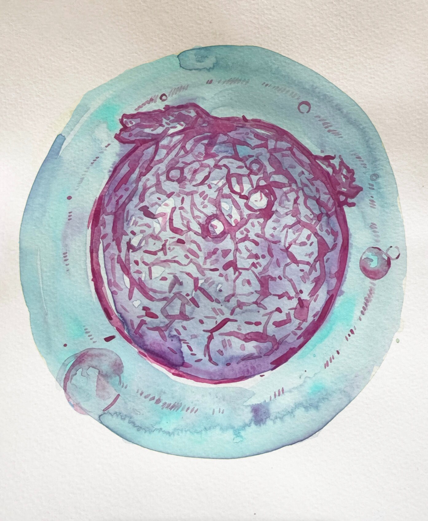 Custom Embryo Watercolor Painting - Hand Painted - IVF Art ...