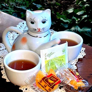 Vintage Hand-painted Lucky Cat TeaPot Gift | Lucky Cat Teapot gift