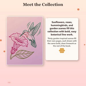 May include: A book page titled Meet the Collection featuring a line drawing of a hummingbird hovering over a large flower. The text reads: Sunflowers, roses, hummingbirds, and garden scenes fill this collection with bold, easy botanical line work.