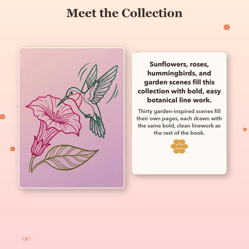 May include: A book page titled Meet the Collection featuring a line drawing of a hummingbird hovering over a large flower. The text reads: Sunflowers, roses, hummingbirds, and garden scenes fill this collection with bold, easy botanical line work.