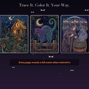 Pode incluir: Um livro de colorir com tr&ecirc;s ilustra&ccedil;&otilde;es retangulares com o texto Trace It. Color It. Your Way. e Every page reveals a full scene when colored in. As imagens mostram uma cabana, um gato numa cerca e uma pessoa a mexer um caldeir&atilde;o.