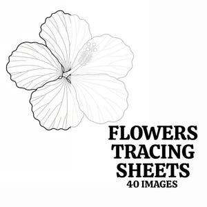 Op de afbeelding: Zwart-wit lijntekening van een hibiscusbloem. De afbeelding bevat de tekst "FLOWERS TRACING SHEETS 40 IMAGES" in een vetgedrukte, schreefloze letter. De bloem is gedetailleerd met zichtbare bloemblaadjes en meeldraden.
