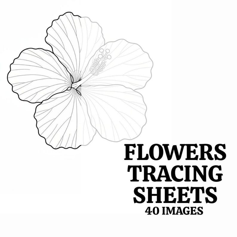Op de afbeelding: Zwart-wit lijntekening van een hibiscusbloem. De afbeelding bevat de tekst "FLOWERS TRACING SHEETS 40 IMAGES" in een vetgedrukte, schreefloze letter. De bloem is gedetailleerd met zichtbare bloemblaadjes en meeldraden.