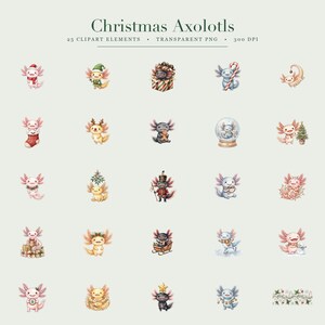 Jul Axolotl Clipart 25 mysiga julakvarellpaket PNG-filer (4096×4096px) Transparent bakgrund · 300 DPI bild 2