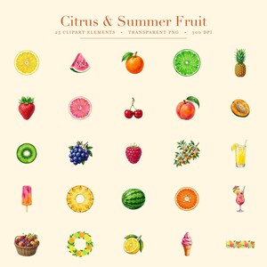 K&ouml;nnte beinhalten: Eine Sammlung von 25 Aquarell-Fruchtillustrationen mit dem Titel Citrus & Summer Fruit, darunter eine Zitronenscheibe, ein Wassermelonenst&uuml;ck, eine Orange, eine Limettenscheibe, eine Ananas, eine Erdbeere, eine Grapefruitscheibe, Kirschen und weitere.