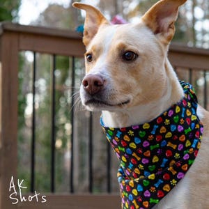 Scrunchie Dog Bandana. Valentines Day Bandana