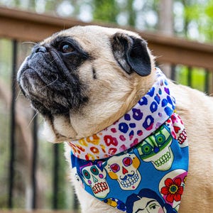 Dia de los Muertos Dog Bandana, Reversible Scrunchie Bandana, Pet Scarf