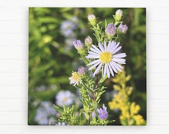 Wildflower Sprig Nature Canvas Wall Art - Flores silvestres de Illinois, flores de pradera, fotografía de naturaleza