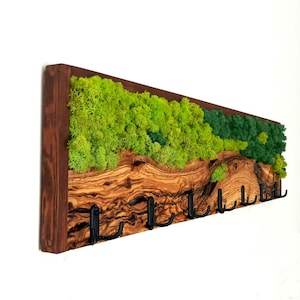 May include: A wall-mounted key holder with a natural wood grain base and a green moss landscape. The key holder has black metal hooks and a dark brown wooden frame. The key holder is designed to be mounted on a wall.