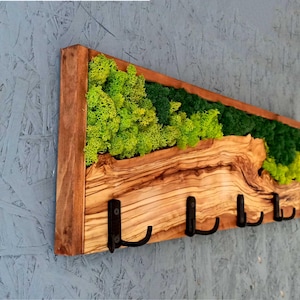 Può includere: Un appendiabiti da parete in legno con cinque ganci. L'appendiabiti è realizzato in legno di ulivo e ha una finitura naturale e rustica. Il legno è decorato con muschio conservato in tonalità di verde.