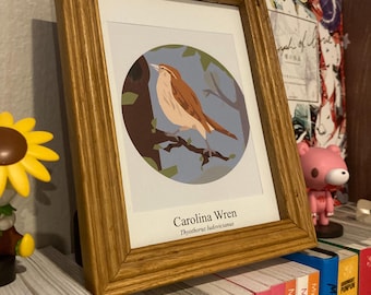 Birds of Texas Collection Prints