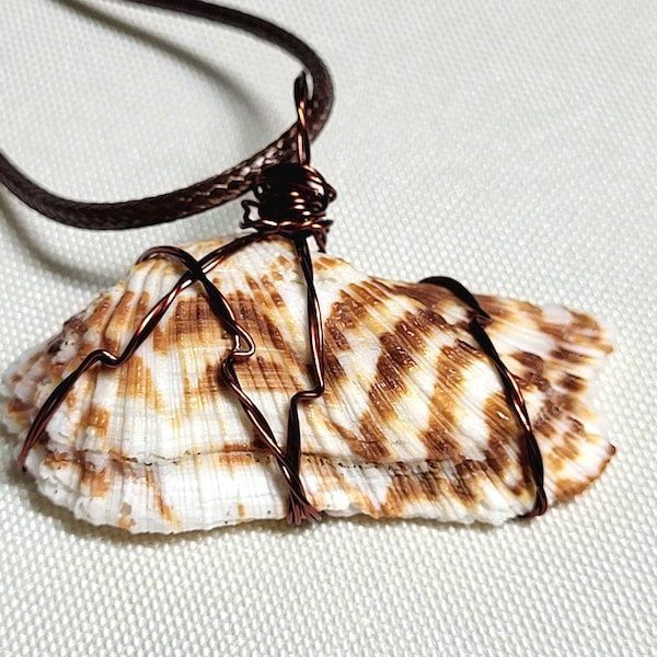 Arca Navicularis Wire Wrapped Shell Unisex Pendant Necklace with Adjustable Necklace Cord Included