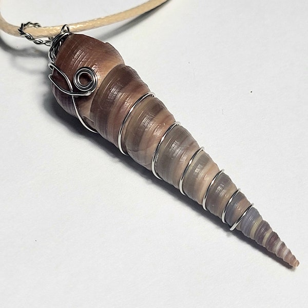 Wire Wrapped Turitella Terebra Natural Shell Unisex Pendant Necklace with Adjustable Necklace Cord Included