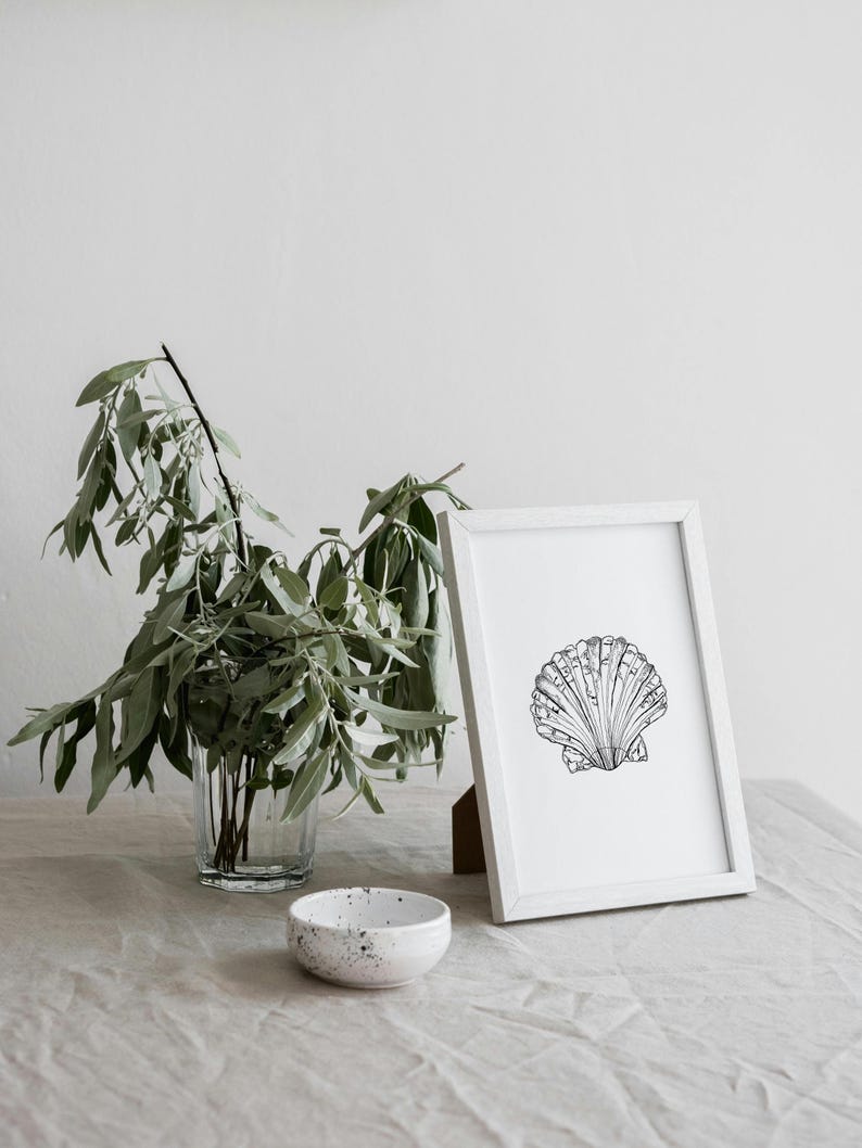 Detailed Shell Art Print: Stippling Illustration, Coastal Decor - Etsy