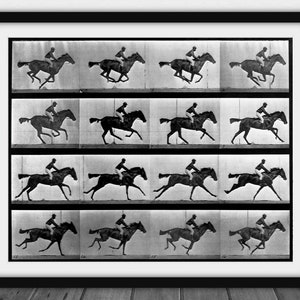 Puede incluir: Impresión en blanco y negro enmarcada que presenta una serie de imágenes secuenciales de un caballo y un jinete en movimiento. Las imágenes capturan el andar del caballo, mostrando el movimiento de las patas y el cuerpo mientras galopa. La impresión es un estudio del movimiento equino.