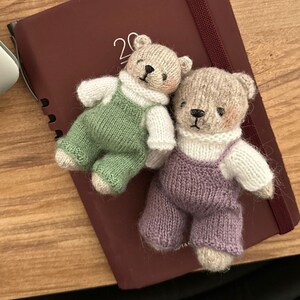 May include: Two small knitted teddy bears wearing overalls. The bear on the left is wearing green overalls and the bear on the right is wearing purple overalls. The bears are sitting on a burgundy planner with the number 20 printed on the cover.
