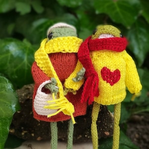 Froggie frog crochet,Green frog knitted,Froggie&#39;s sweater,Cute toy frog,Amigurumi frog,Gift for christmas,Gift for birthday,Valentine&#39;s Day