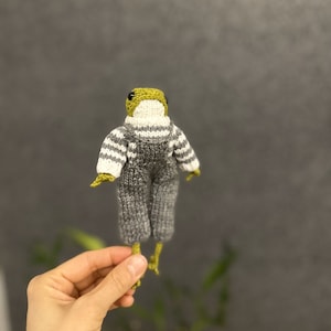Handmade Crochet Frog Doll: Organic Cotton Amigurumi with Sweater ,Plush frog, Amigurumi frog, Knitted frog, Amigurumi Doll , Halloween