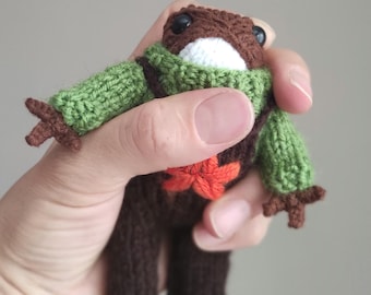 Crochet Frog with Sweater: Handmade Organic Cotton Amigurumi star embroidered jumpsuit