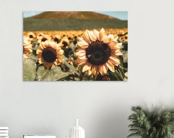 Sunflower Field Summer Yellow Flowers Premium Semi-Glossy Paper Poster