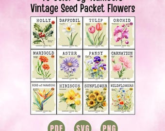 Color By Number 49 Vintage Seed Packet Bundle (PDF, PNG, SVG Digital Download)