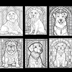May include: Six black and white illustrations of dogs in stained glass windows. The dogs are a bulldog, a labrador retriever, a border collie, a golden retriever, a terrier, and a lab mix.