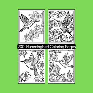 200 Kolibri Malvorlagen für Erwachsene, Stressabbau (digitaler Download)