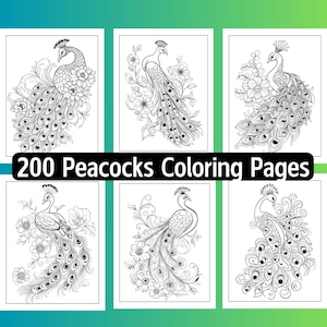 200 Peacocks Coloring Pages, Printable, Book, Instant Download, Digital, Adult, Kids, Birds, Feathers, Large, Colorful, Peafowl, Peahen