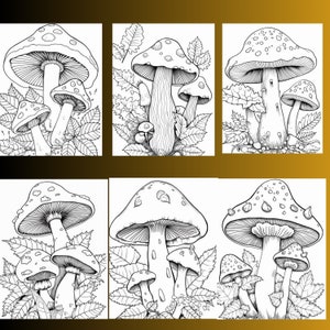 128 Mushroom Coloring Pages, Fungi Illustrations (Digital Download) image 5