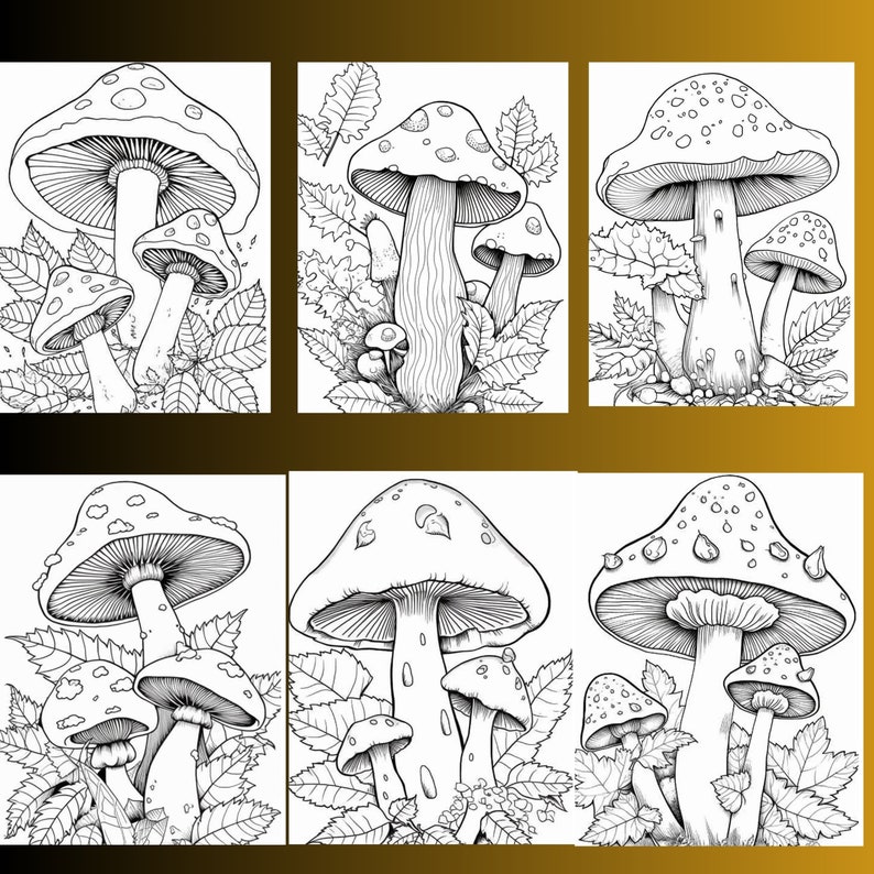 128 Mushroom Coloring Pages, Fungi Illustrations (Digital Download) image 5