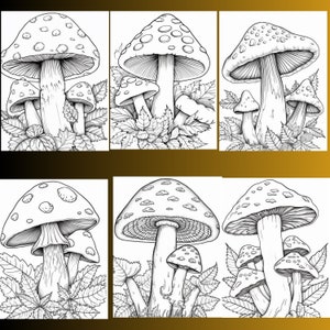 128 Mushroom Coloring Pages, Fungi Illustrations (Digital Download) image 4