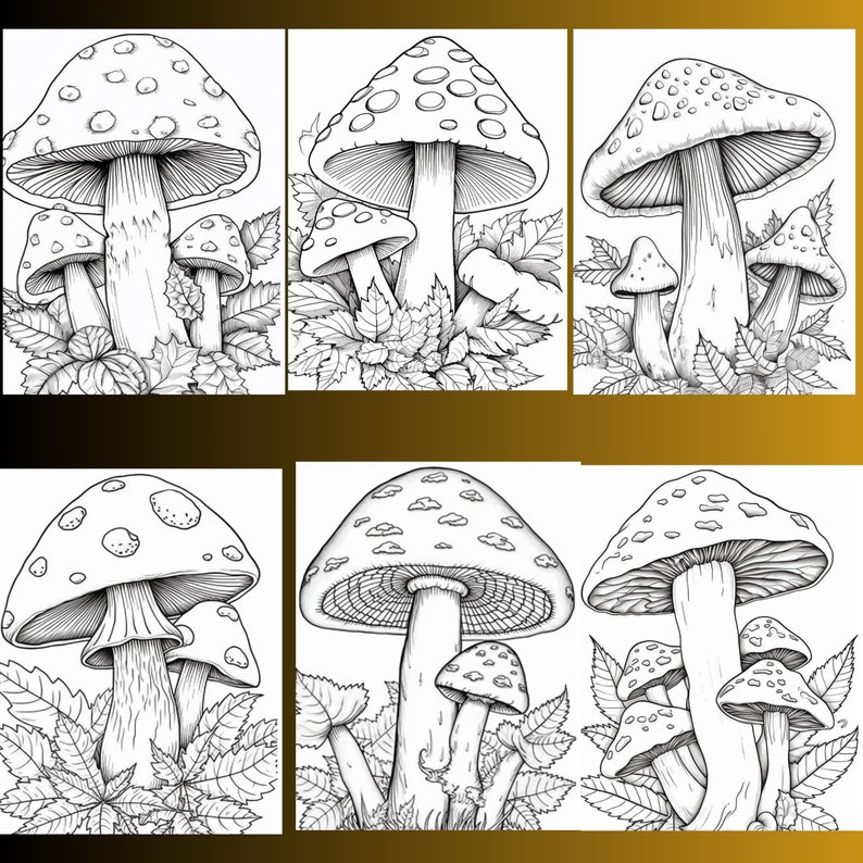 128 Mushroom Coloring Pages, Fungi Illustrations (Digital Download) image 4